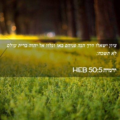 Picture 02 - ירמיה 50:5 HEB - ציון ישאלו דרך הנה פניהם - Bible Verse Picture