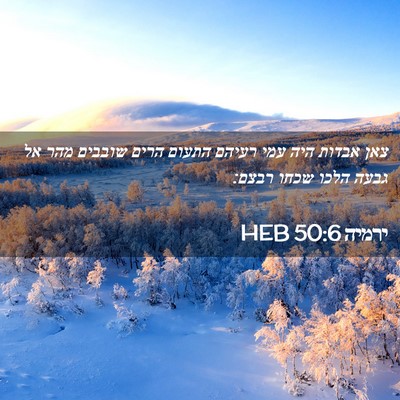 Picture 02 - ירמיה 50:6 HEB - צאן אבדות היה עמי רעיהם - Bible Verse Picture