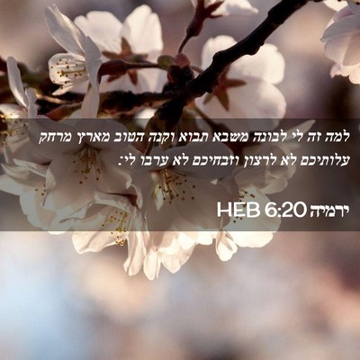 Picture 02 - ירמיה 6:20 HEB - למה זה לי לבונה משבא תבוא - Bible Verse Picture