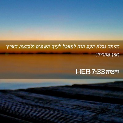 Picture 02 - ירמיה 7:33 HEB - והיתה נבלת העם הזה למאכל - Bible Verse Picture