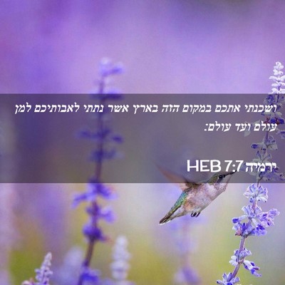 Picture 02 - ירמיה 7:7 HEB - ושכנתי אתכם במקום הזה בארץ - Bible Verse Picture
