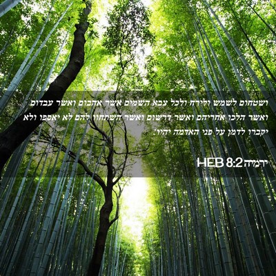 Picture 02 - ירמיה 8:2 HEB - ושטחום לשמש ולירח ולכל צבא - Bible Verse Picture