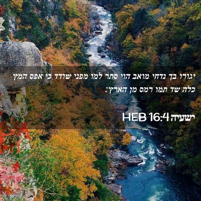 Picture 02 - ישעיה 16:4 HEB - יגורו בך נדחי מואב הוי סתר - Bible Verse Picture