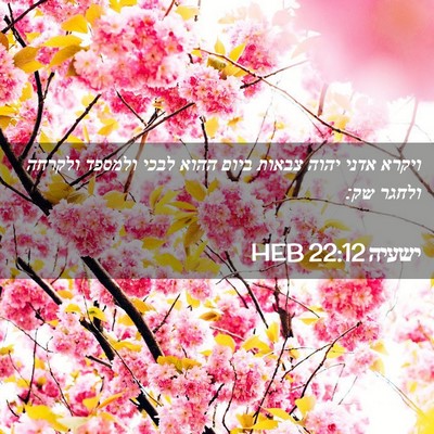 Picture 02 - ישעיה 22:12 HEB - ויקרא אדני יהוה צבאות ביום - Bible Verse Picture