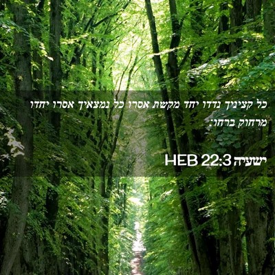 Picture 02 - ישעיה 22:3 HEB - כל קציניך נדדו יחד מקשת - Bible Verse Picture