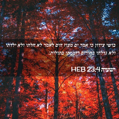 Picture 02 - ישעיה 23:4 HEB - בושי צידון כי אמר ים מעוז - Bible Verse Picture
