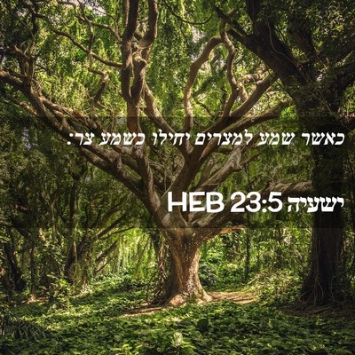 Picture 02 - ישעיה 23:5 HEB - כאשר שמע למצרים יחילו כשמע - Bible Verse Picture