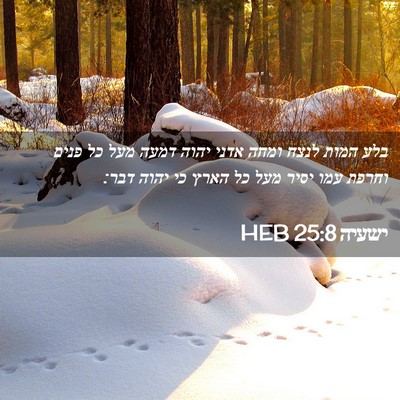 Picture 02 - ישעיה 25:8 HEB - בלע המות לנצח ומחה אדני - Bible Verse Picture