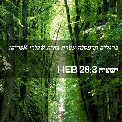 Picture 02 - ישעיה 28:3 HEB - ברגלים תרמסנה עטרת גאות - Bible Verse Picture