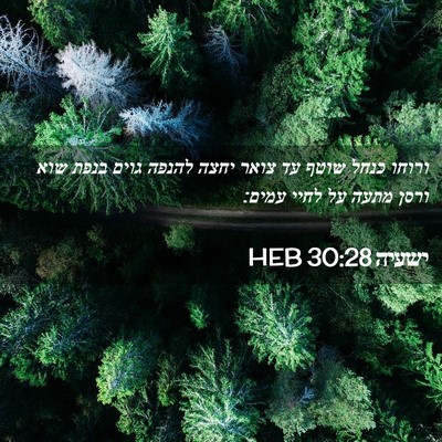 Picture 02 - ישעיה 30:28 HEB - ורוחו כנחל שוטף עד צואר - Bible Verse Picture