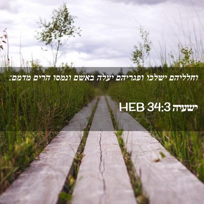 Picture 02 - ישעיה 34:3 HEB - וחלליהם ישלכו ופגריהם יעלה - Bible Verse Picture