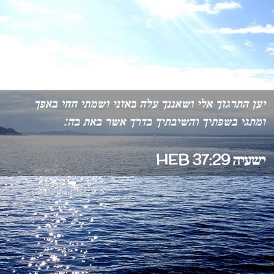 Picture 02 - ישעיה 37:29 HEB - יען התרגזך אלי ושאננך עלה - Bible Verse Picture