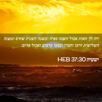 Picture 02 - ישעיה 37:30 HEB - וזה לך האות אכול השנה ספיח - Bible Verse Picture