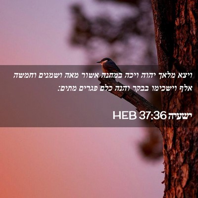 Picture 02 - ישעיה 37:36 HEB - ויצא מלאך יהוה ויכה במחנה - Bible Verse Picture