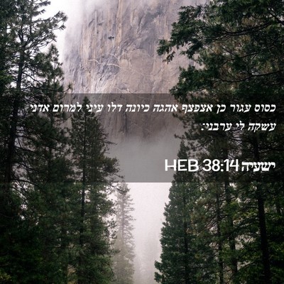 Picture 02 - ישעיה 38:14 HEB - כסוס עגור כן אצפצף אהגה - Bible Verse Picture