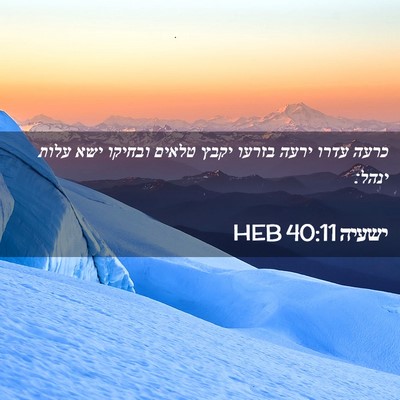 Picture 02 - ישעיה 40:11 HEB - כרעה עדרו ירעה בזרעו יקבץ - Bible Verse Picture