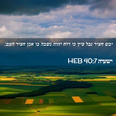 Picture 02 - ישעיה 40:7 HEB - יבש חציר נבל ציץ כי רוח - Bible Verse Picture