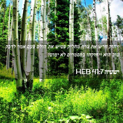 Picture 02 - ישעיה 41:7 HEB - ויחזק חרש את צרף מחליק פטיש - Bible Verse Picture