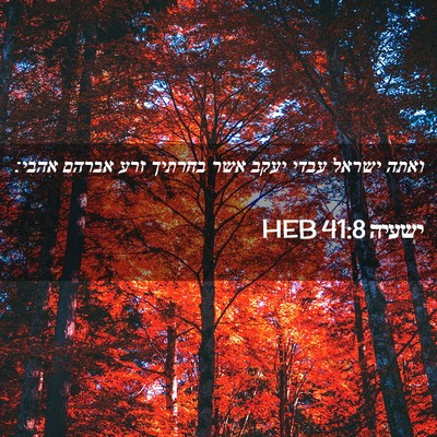 Picture 02 - ישעיה 41:8 HEB - ואתה ישראל עבדי יעקב אשר - Bible Verse Picture