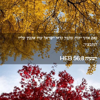 Picture 02 - ישעיה 56:8 HEB - נאם אדני יהוה מקבץ נדחי - Bible Verse Picture