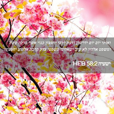 Picture 02 - ישעיה 58:2 HEB - ואותי יום יום ידרשון ודעת - Bible Verse Picture