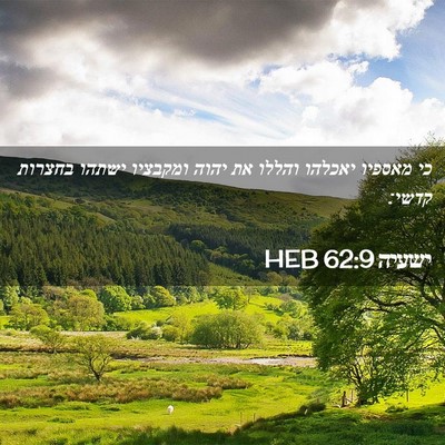 Picture 02 - ישעיה 62:9 HEB - כי מאספיו יאכלהו והללו את - Bible Verse Picture