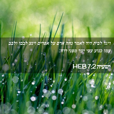 Picture 02 - ישעיה 7:2 HEB - ויגד לבית דוד לאמר נחה ארם - Bible Verse Picture
