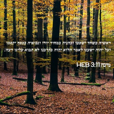 Picture 02 - מיכה 3:11 HEB - ראשיה בשחד ישפטו וכהניה - Bible Verse Picture