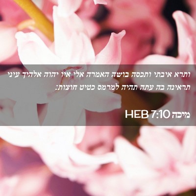 Picture 02 - מיכה 7:10 HEB - ותרא איבתי ותכסה בושה - Bible Verse Picture