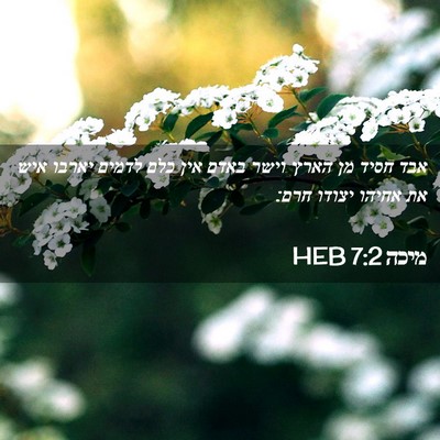 Picture 02 - מיכה 7:2 HEB - אבד חסיד מן הארץ וישר באדם - Bible Verse Picture