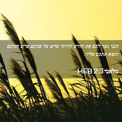Picture 02 - מלאכי 2:3 HEB - הנני גער לכם את הזרע וזריתי - Bible Verse Picture