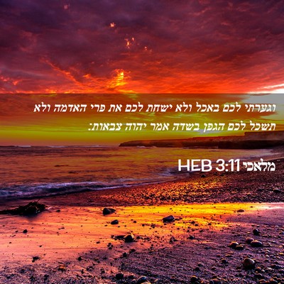 Picture 02 - מלאכי 3:11 HEB - וגערתי לכם באכל ולא ישחת - Bible Verse Picture