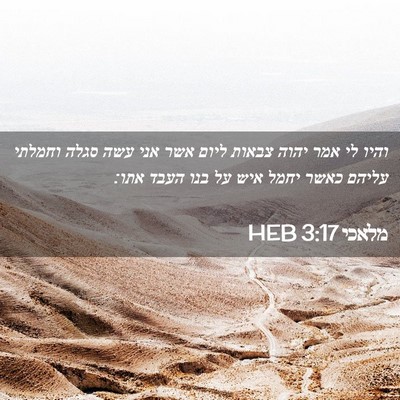 Picture 02 - מלאכי 3:17 HEB - והיו לי אמר יהוה צבאות ליום - Bible Verse Picture