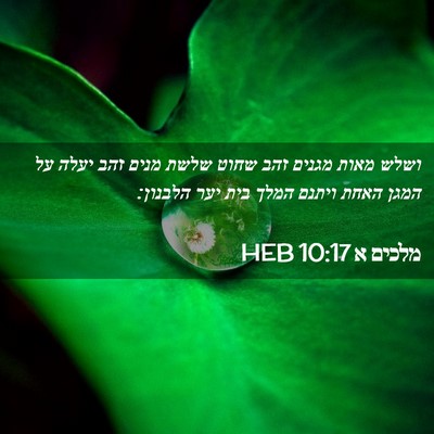 Picture 02 - מלכים א 10:17 HEB - ושלש מאות מגנים זהב שחוט - Bible Verse Picture