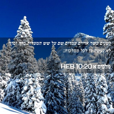 Picture 02 - מלכים א 10:20 HEB - ושנים עשר אריים עמדים שם על - Bible Verse Picture