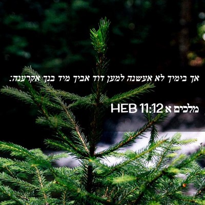 Picture 02 - מלכים א 11:12 HEB - אך בימיך לא אעשנה למען דוד - Bible Verse Picture