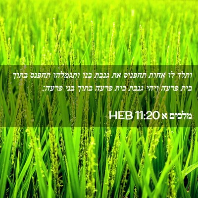 Picture 02 - מלכים א 11:20 HEB - ותלד לו אחות תחפניס את גנבת - Bible Verse Picture