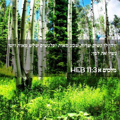 Picture 02 - מלכים א 11:3 HEB - ויהי לו נשים שרות שבע מאות - Bible Verse Picture