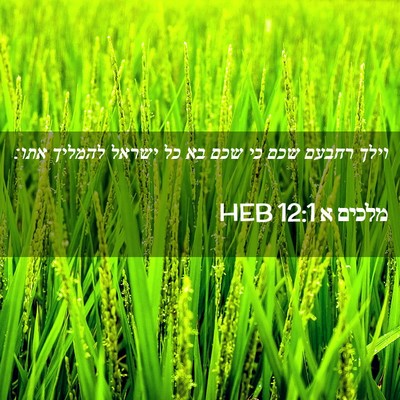 Picture 02 - מלכים א 12:1 HEB - וילך רחבעם שכם כי שכם בא כל - Bible Verse Picture