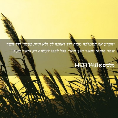 Picture 02 - מלכים א 14:8 HEB - ואקרע את הממלכה מבית דוד - Bible Verse Picture