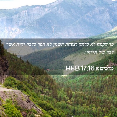 Picture 02 - מלכים א 17:16 HEB - כד הקמח לא כלתה וצפחת השמן - Bible Verse Picture