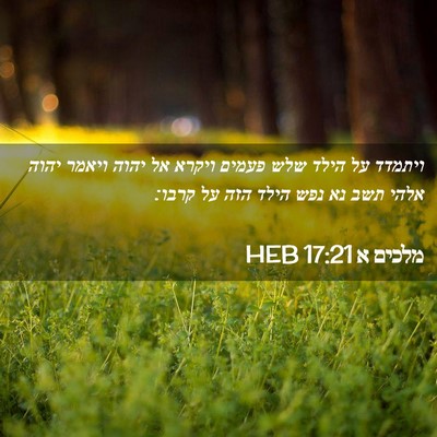 Picture 02 - מלכים א 17:21 HEB - ויתמדד על הילד שלש פעמים - Bible Verse Picture