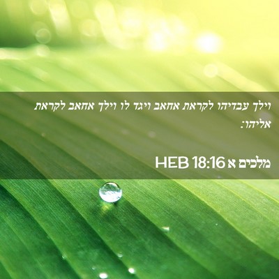 Picture 02 - מלכים א 18:16 HEB - וילך עבדיהו לקראת אחאב - Bible Verse Picture