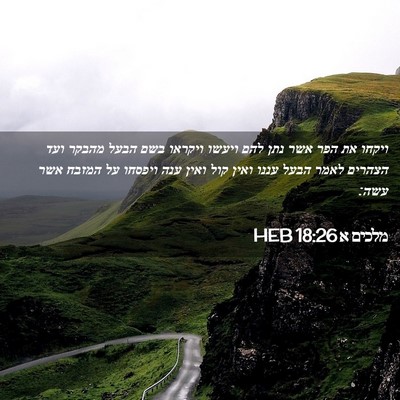 Picture 02 - מלכים א 18:26 HEB - ויקחו את הפר אשר נתן להם - Bible Verse Picture