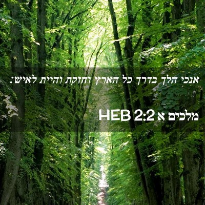 Picture 02 - מלכים א 2:2 HEB - אנכי הלך בדרך כל הארץ וחזקת - Bible Verse Picture