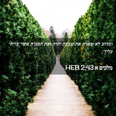 Picture 02 - מלכים א 2:43 HEB - ומדוע לא שמרת את שבעת יהוה - Bible Verse Picture
