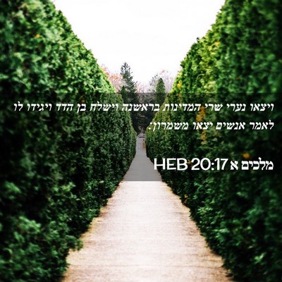 Picture 02 - מלכים א 20:17 HEB - ויצאו נערי שרי המדינות - Bible Verse Picture
