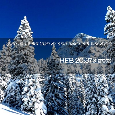Picture 02 - מלכים א 20:37 HEB - וימצא איש אחר ויאמר הכיני - Bible Verse Picture