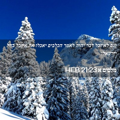 Picture 02 - מלכים א 21:23 HEB - וגם לאיזבל דבר יהוה לאמר - Bible Verse Picture