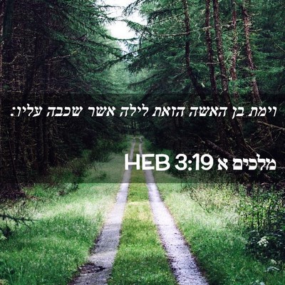 Picture 02 - מלכים א 3:19 HEB - וימת בן האשה הזאת לילה אשר - Bible Verse Picture